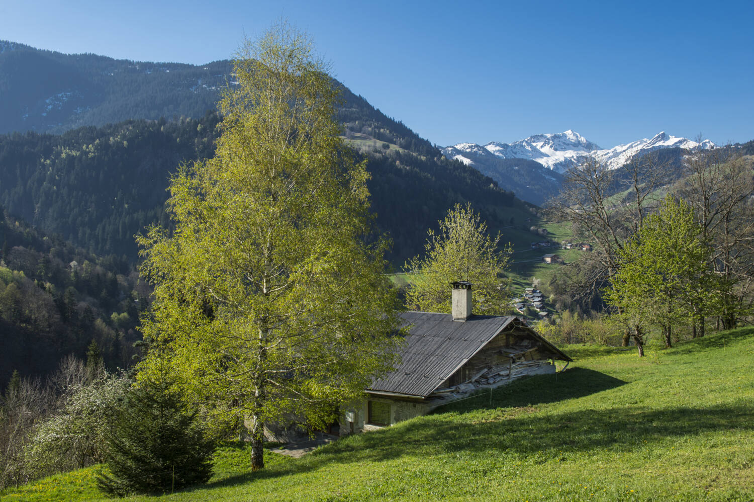 Savoie (73), France, massif du Beaufortain, pays du fromage Beaufort, un chalet traditionnel  au biollet et le grand Mont